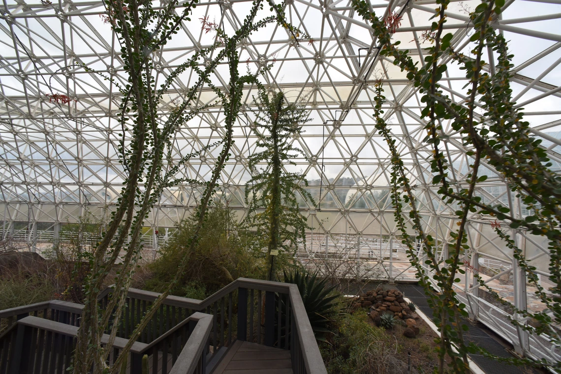 BioSphere 2 Interior