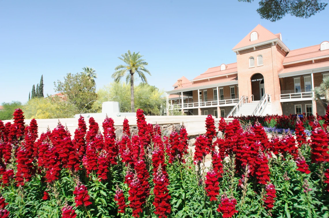 Flowers in front of old main.