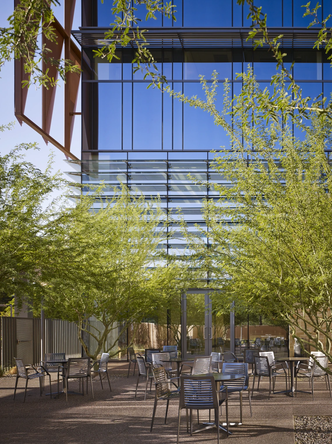 UAZCC Meditation Garden with trees and chairs in foreground